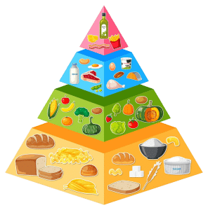 Pirámide alimentaria